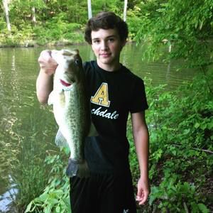 Meet your Posher, Colyn